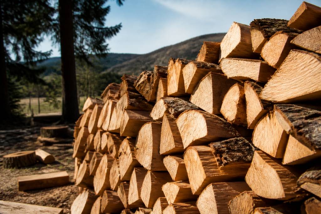 Bois de chauffage qualité : les critères pour bien choisir son combustible
